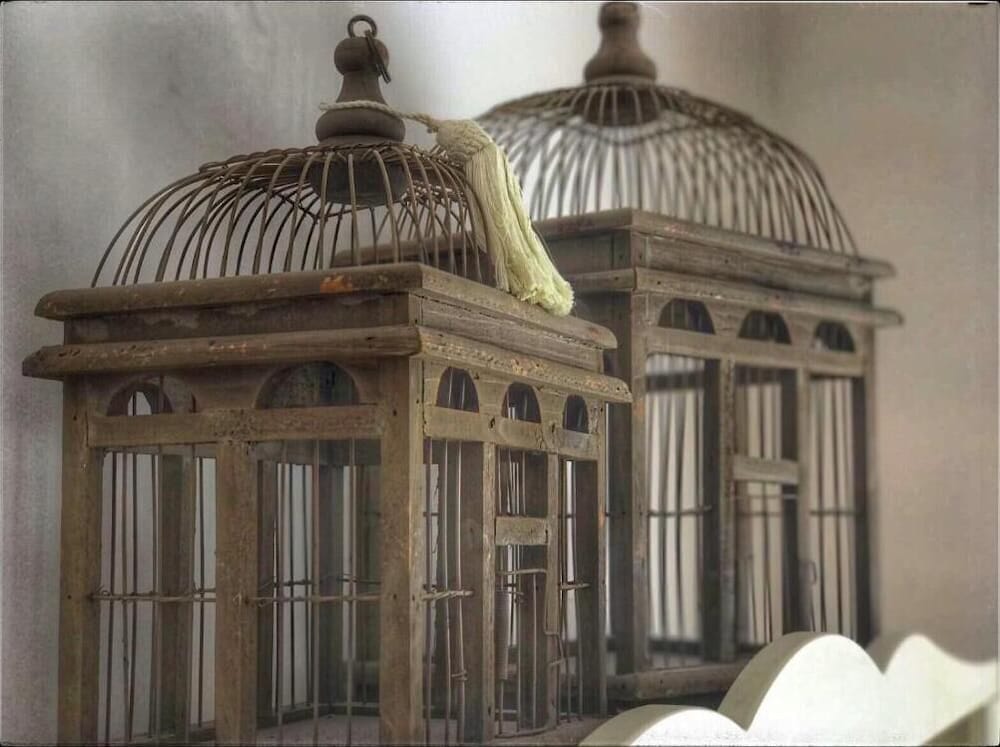 Фото Hostal Boutique Plaza Cantarero