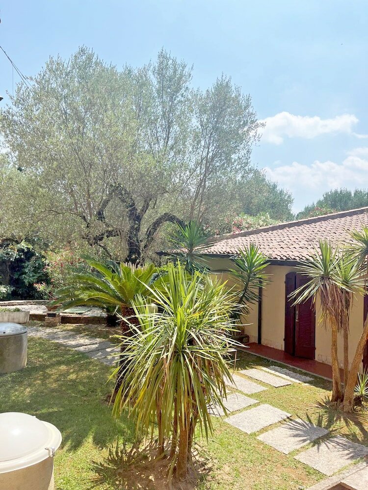 Фото Hotel Ideal