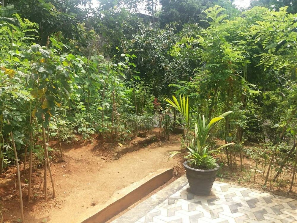 Фото Miracle Villa