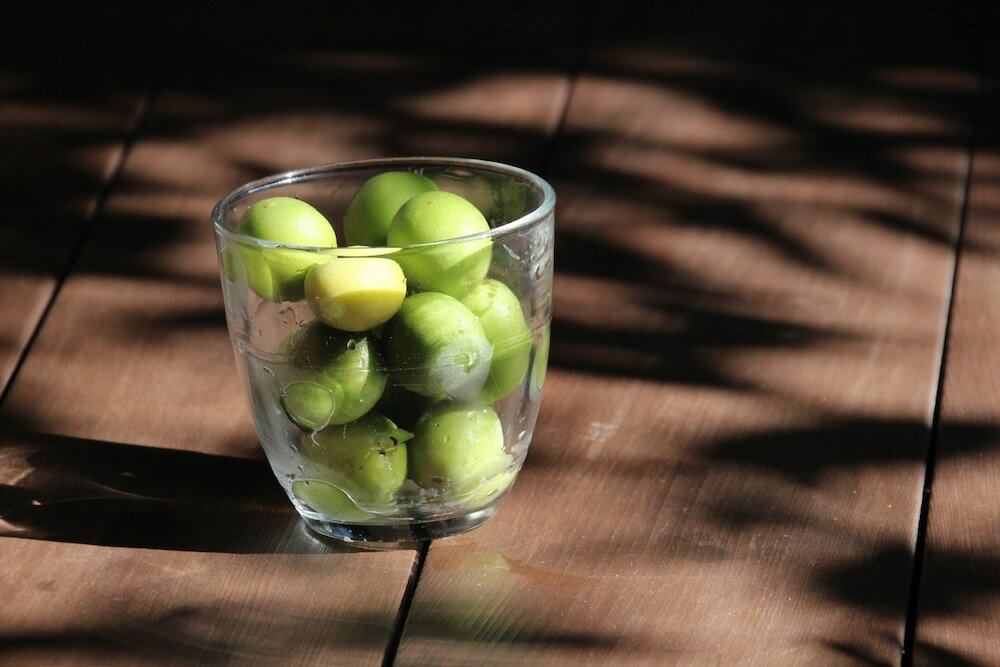 Фото Haruya Umekoji