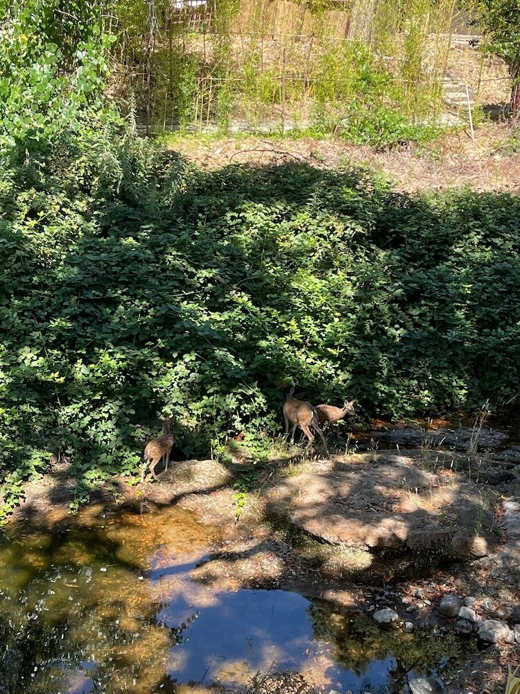 Фото Glen Ellen Inn