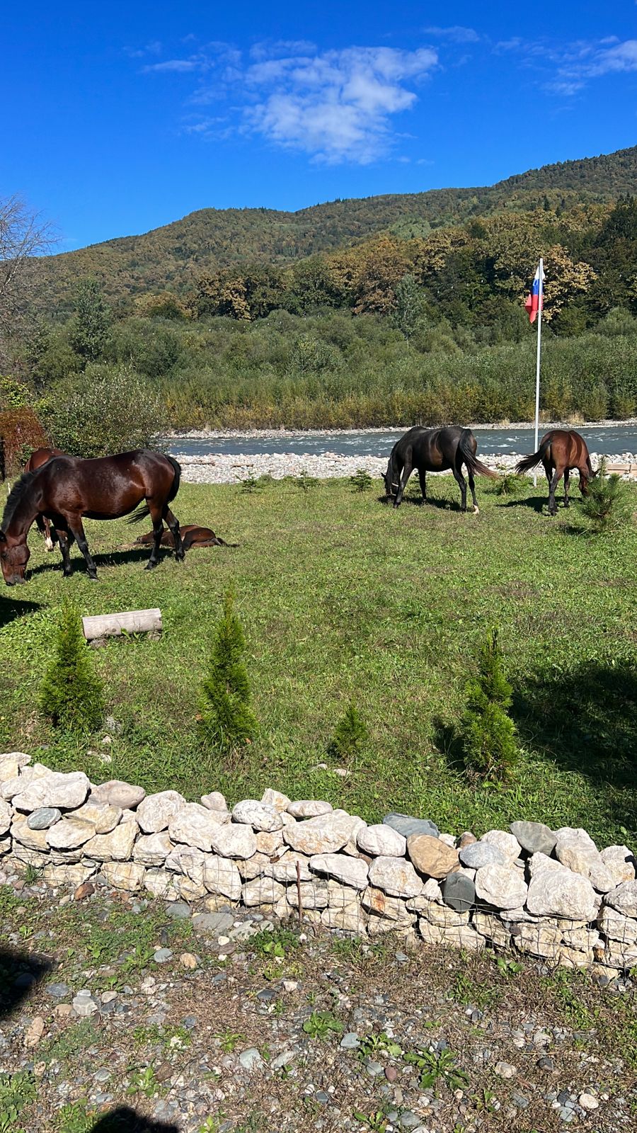 Фото Дикий дом