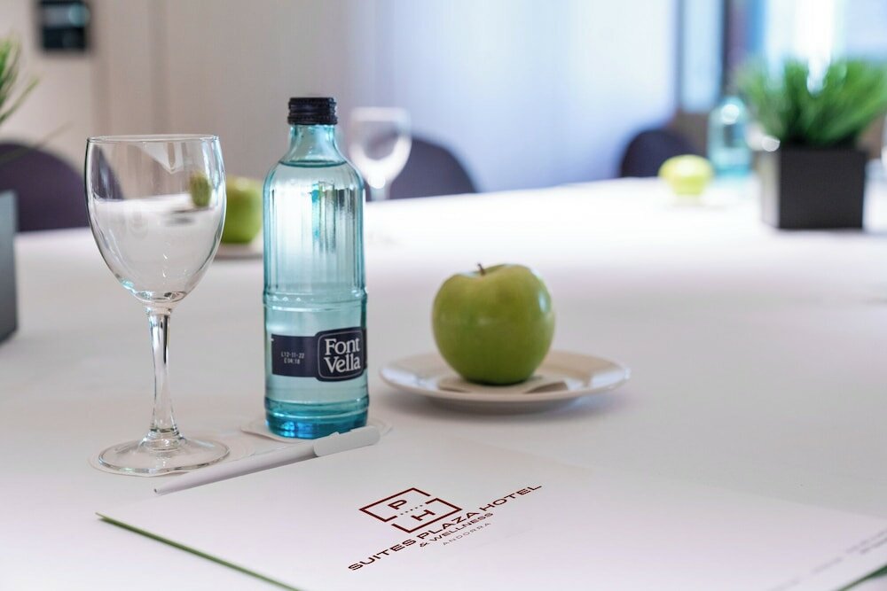 Фото Suites Plaza Hotel & Wellness Andorra