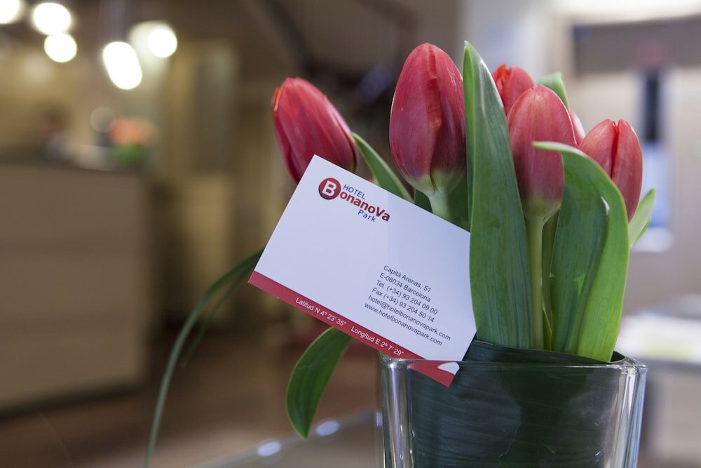 Фото Hotel Bonanova Park