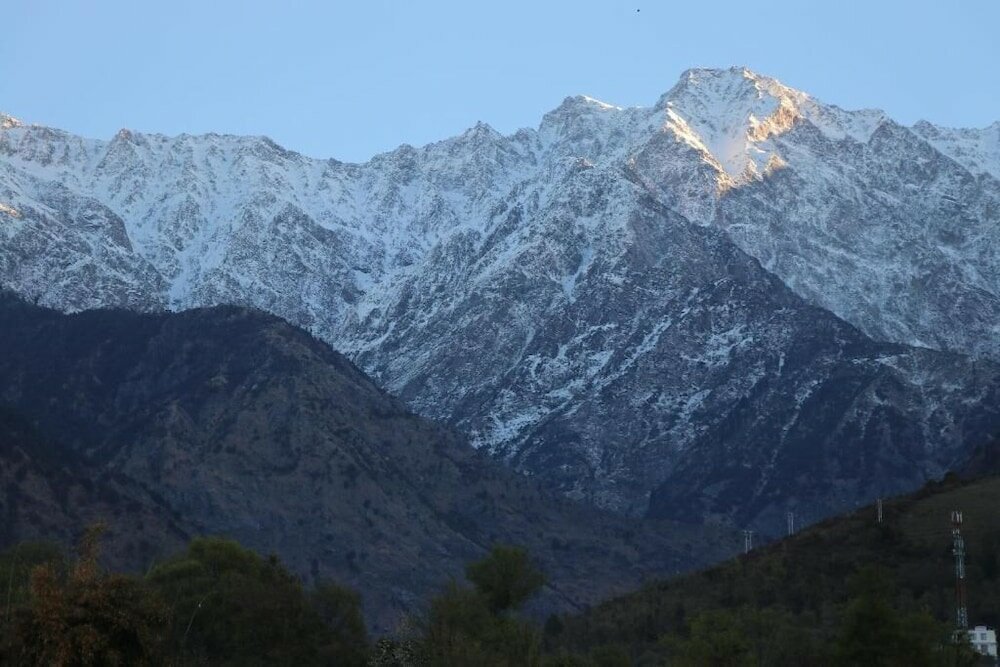 Фото Hotel Ashiana Palampur