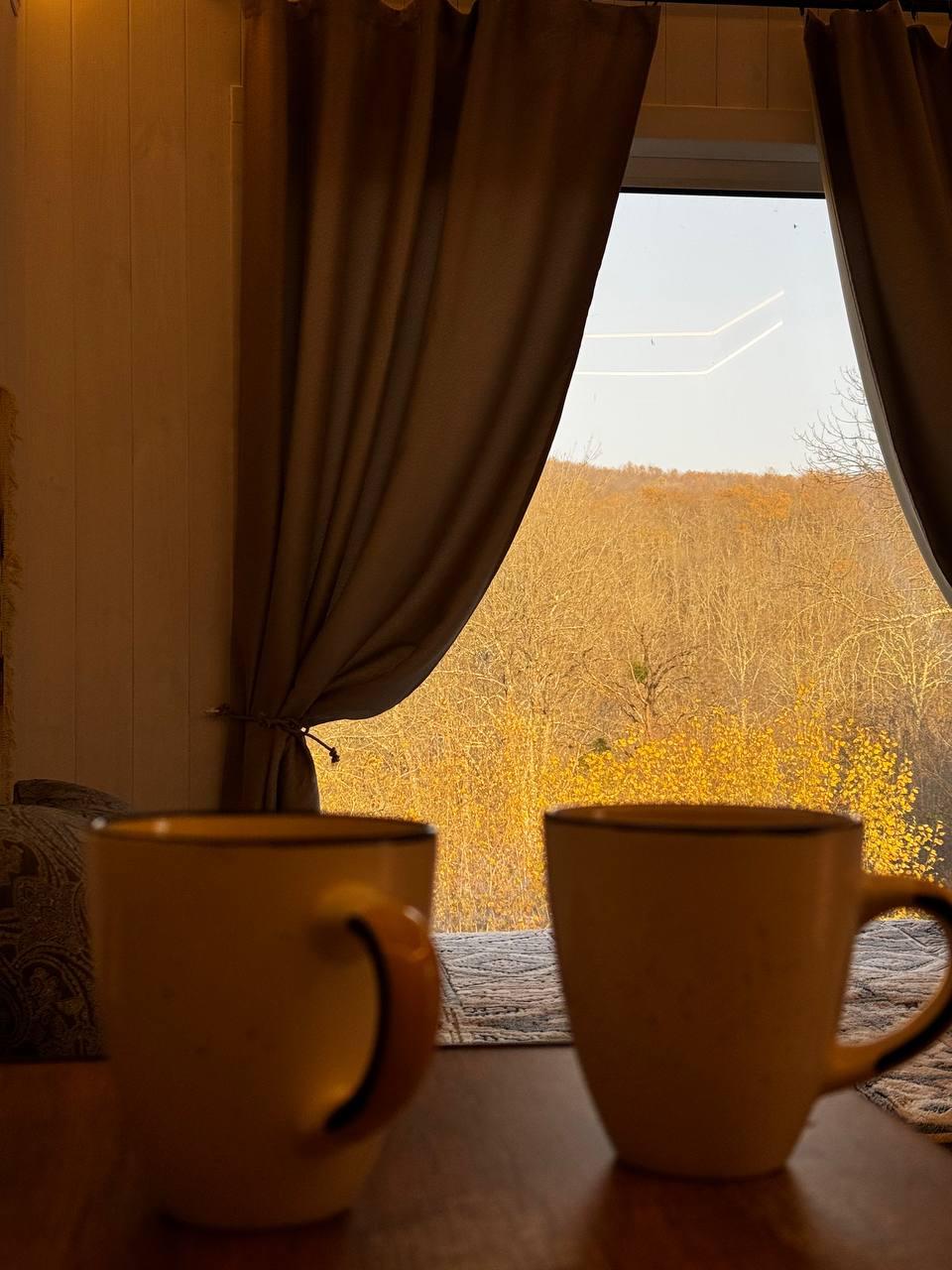 Фото Ширванка Lux