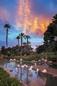 Гостиница Coronado Island Marriott Resort & SPA