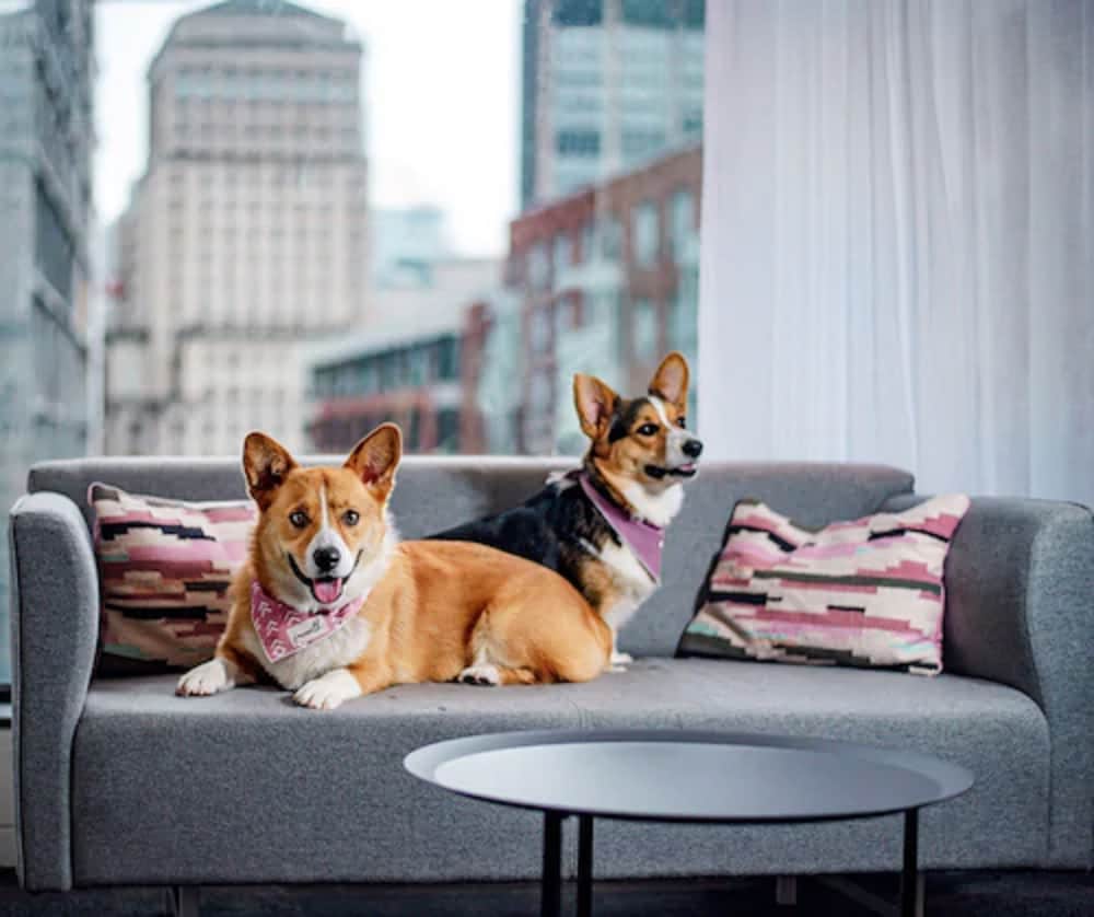 Фото Hotel Monville