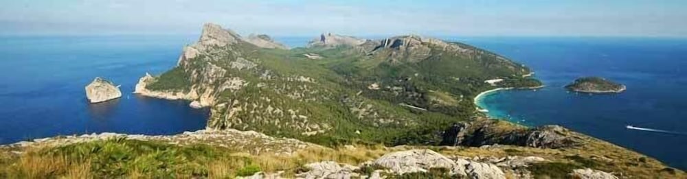 Фото Puerto Azul Suite Hotel