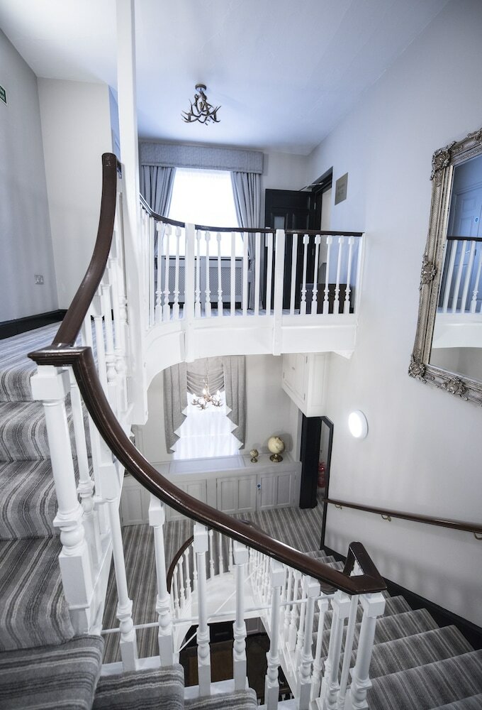 Фото The Pied Bull