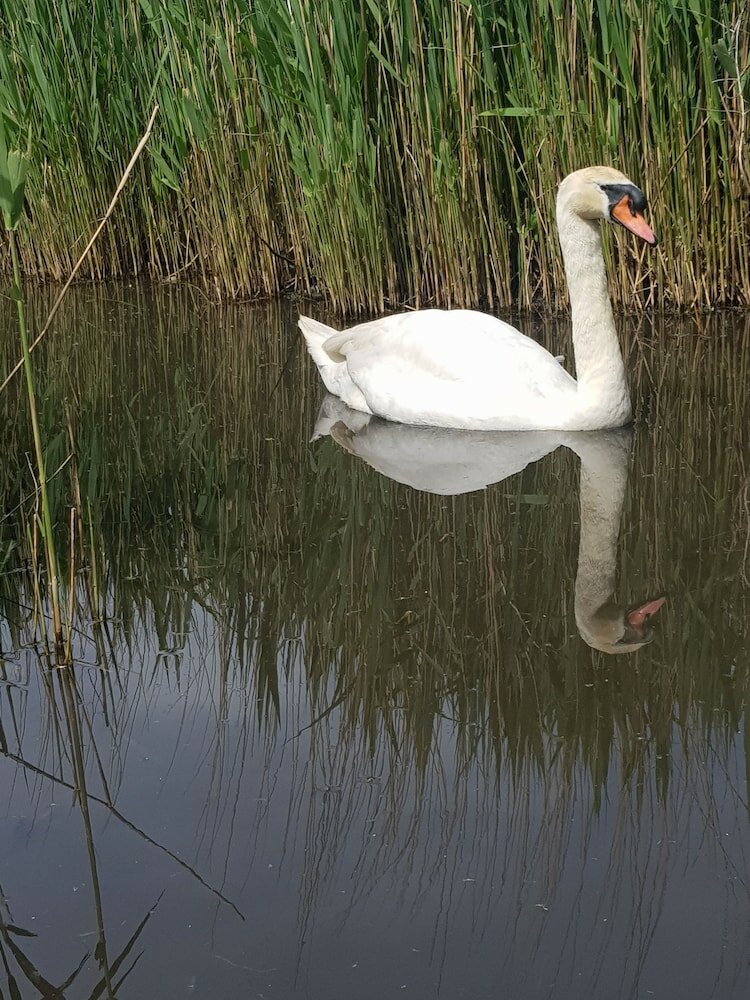 Фото Brunswick Bed & Breakfast