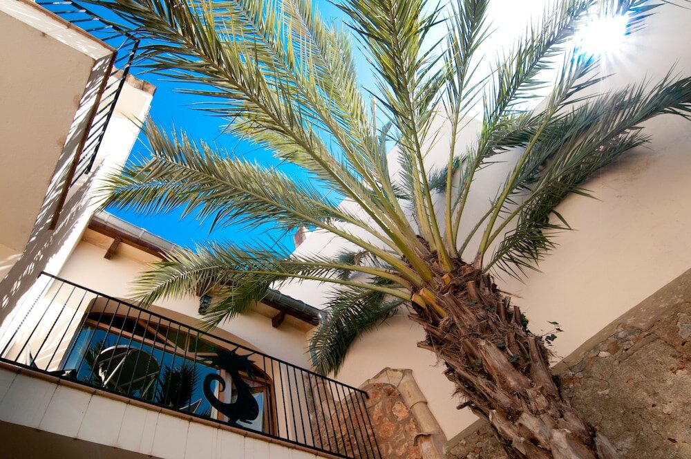 Фото Hotel Segles