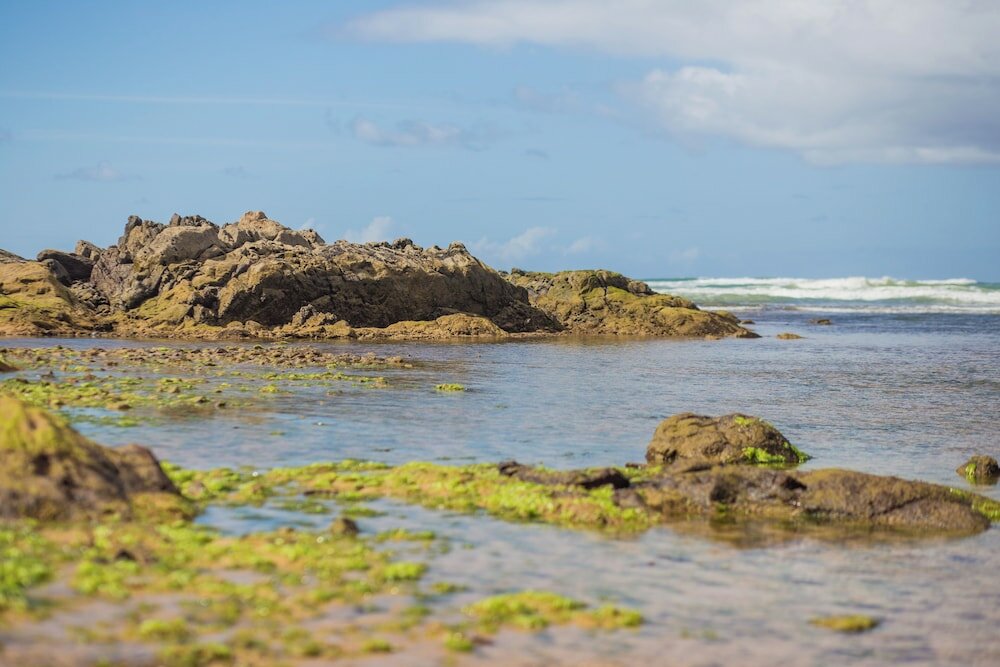 Фото Bahia Plaza Hotel