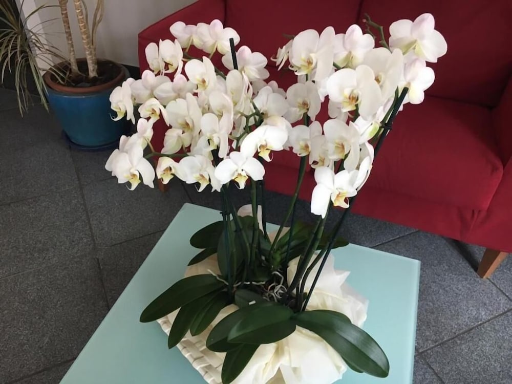 Фото Hotel Internazionale