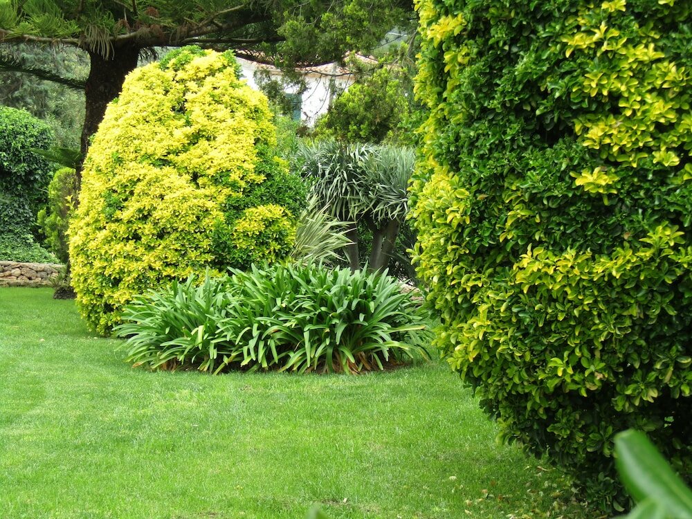 Фото Arenosu a pochi Km dalle spiagge