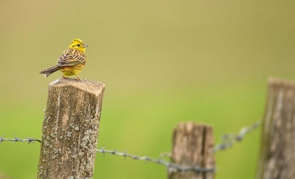 Фото Hotel Atlanta