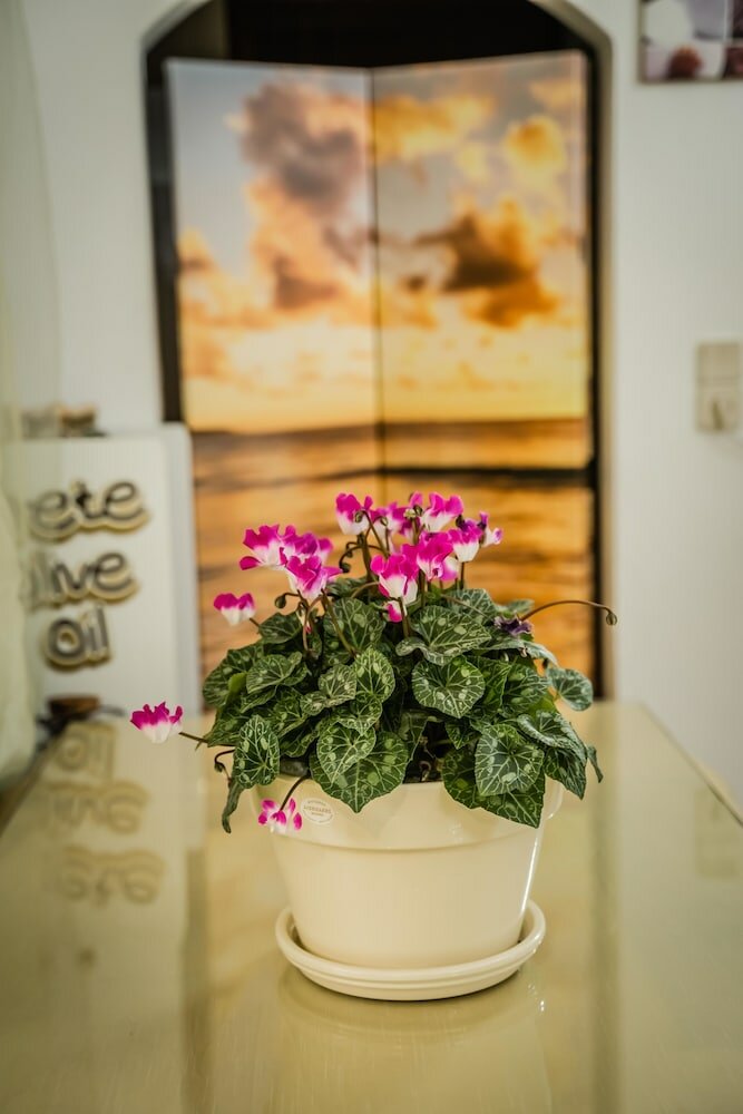 Фото Отель Matala Dimitris