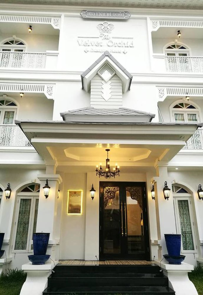 Фото The Velvet Orchid