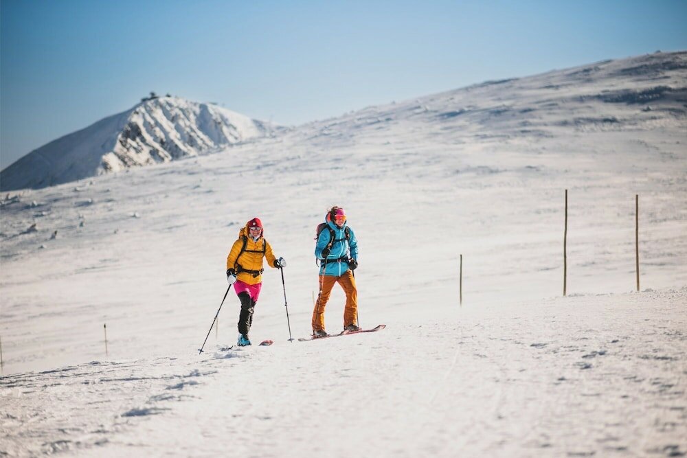 Фото Hotel Horizont