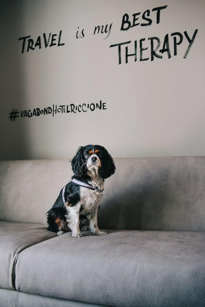 Фото Hotel Vagabond