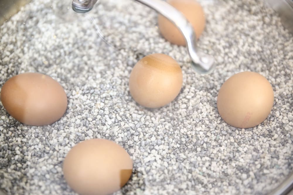 Фото Hotel Marienthal