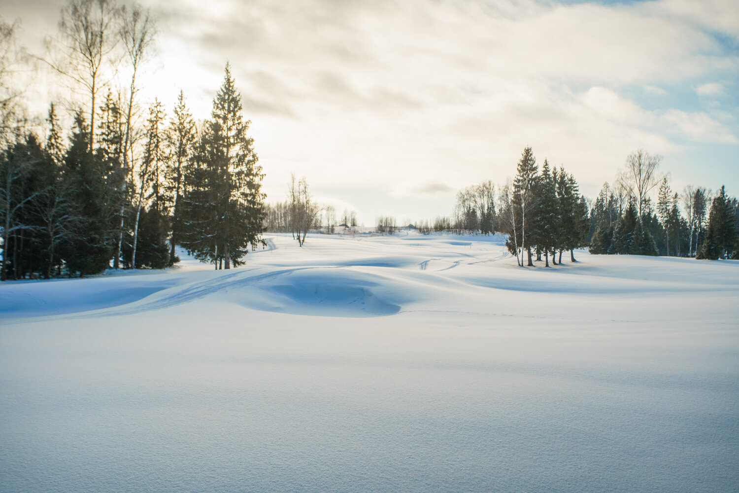 Фото Форест Хиллс
