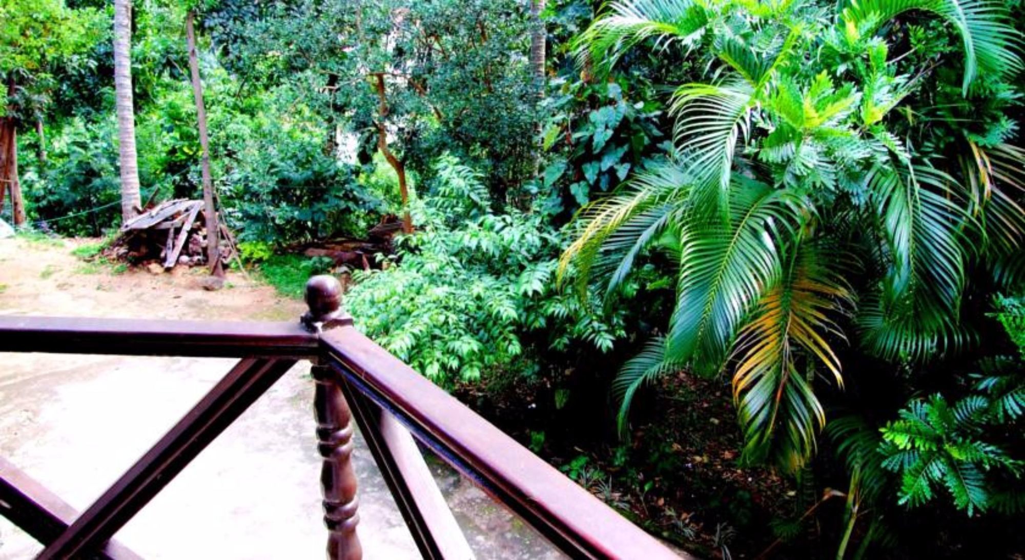 Фото Tree Breeze Inn