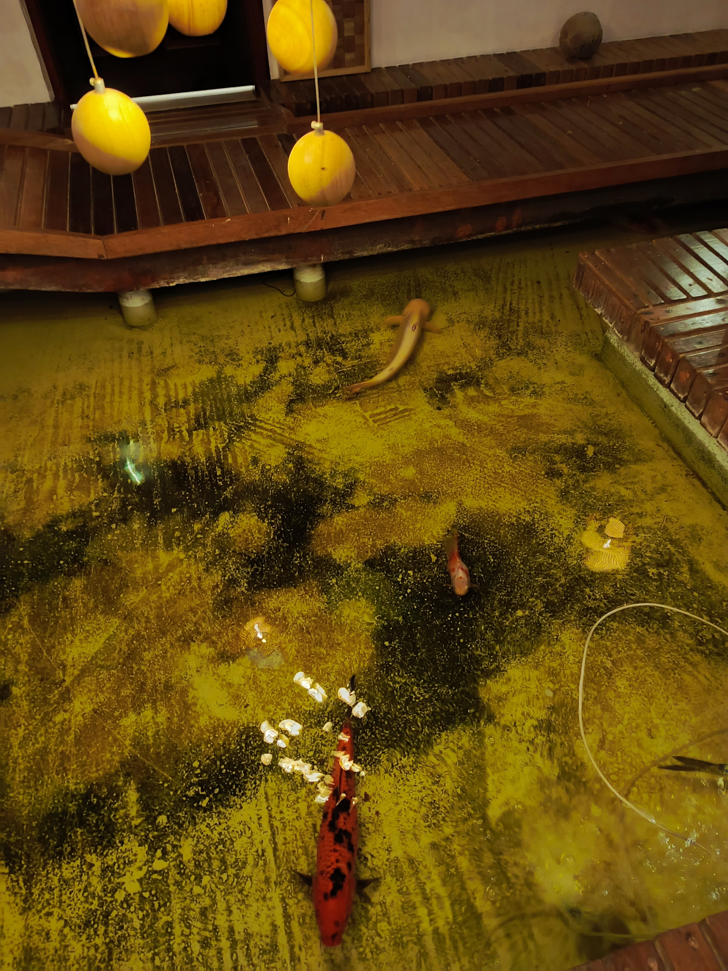 Фото Crystal Sands