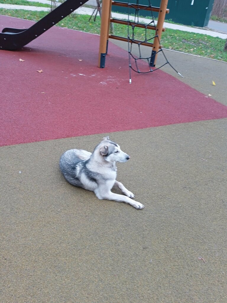 Perfume and cosmetics shop M. Kosmetik, Tambov Oblast, photo