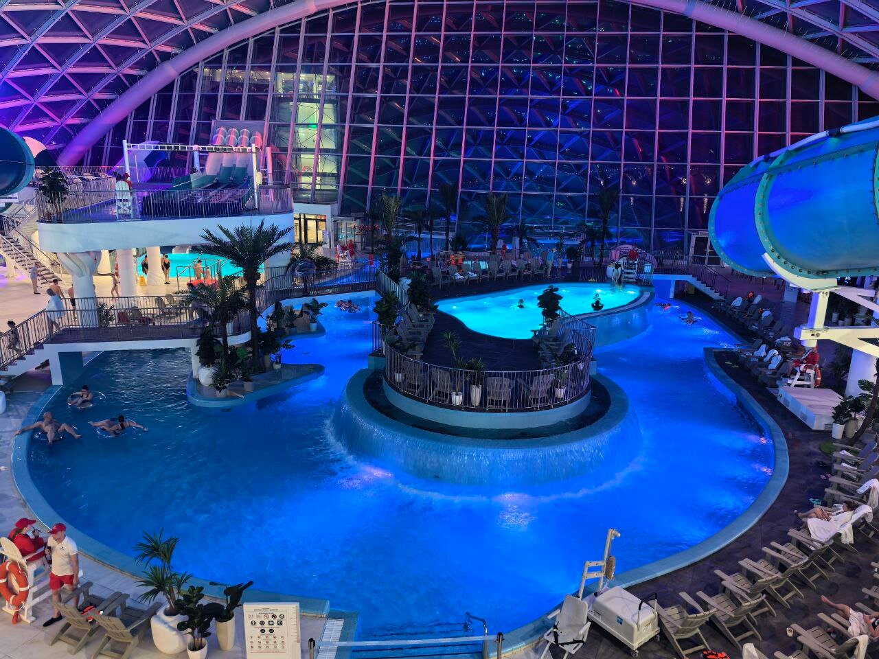 Фото Рябина от Васта