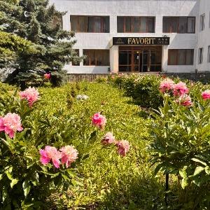 Фото Фаворит