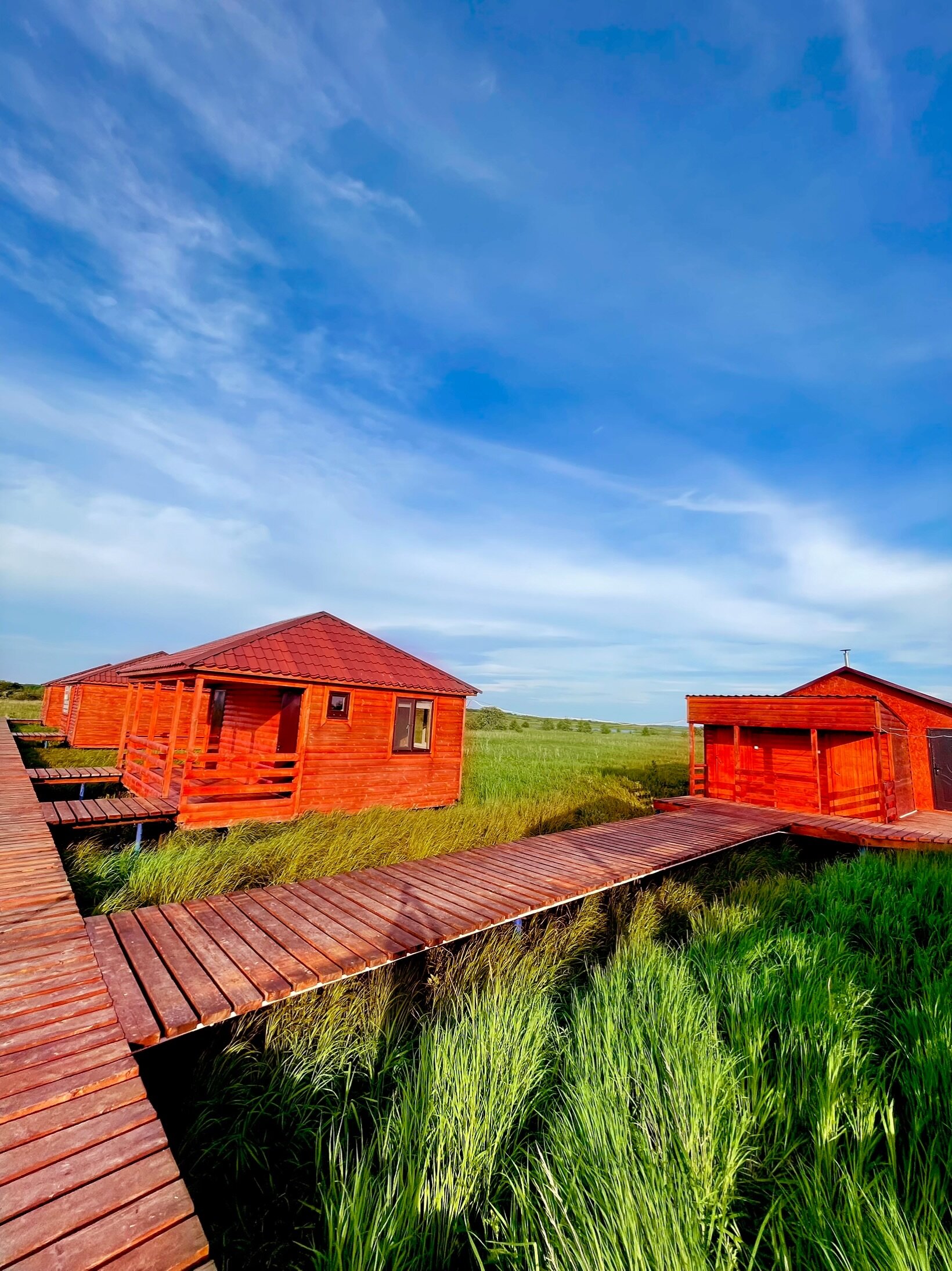 Фото ПроЛосось