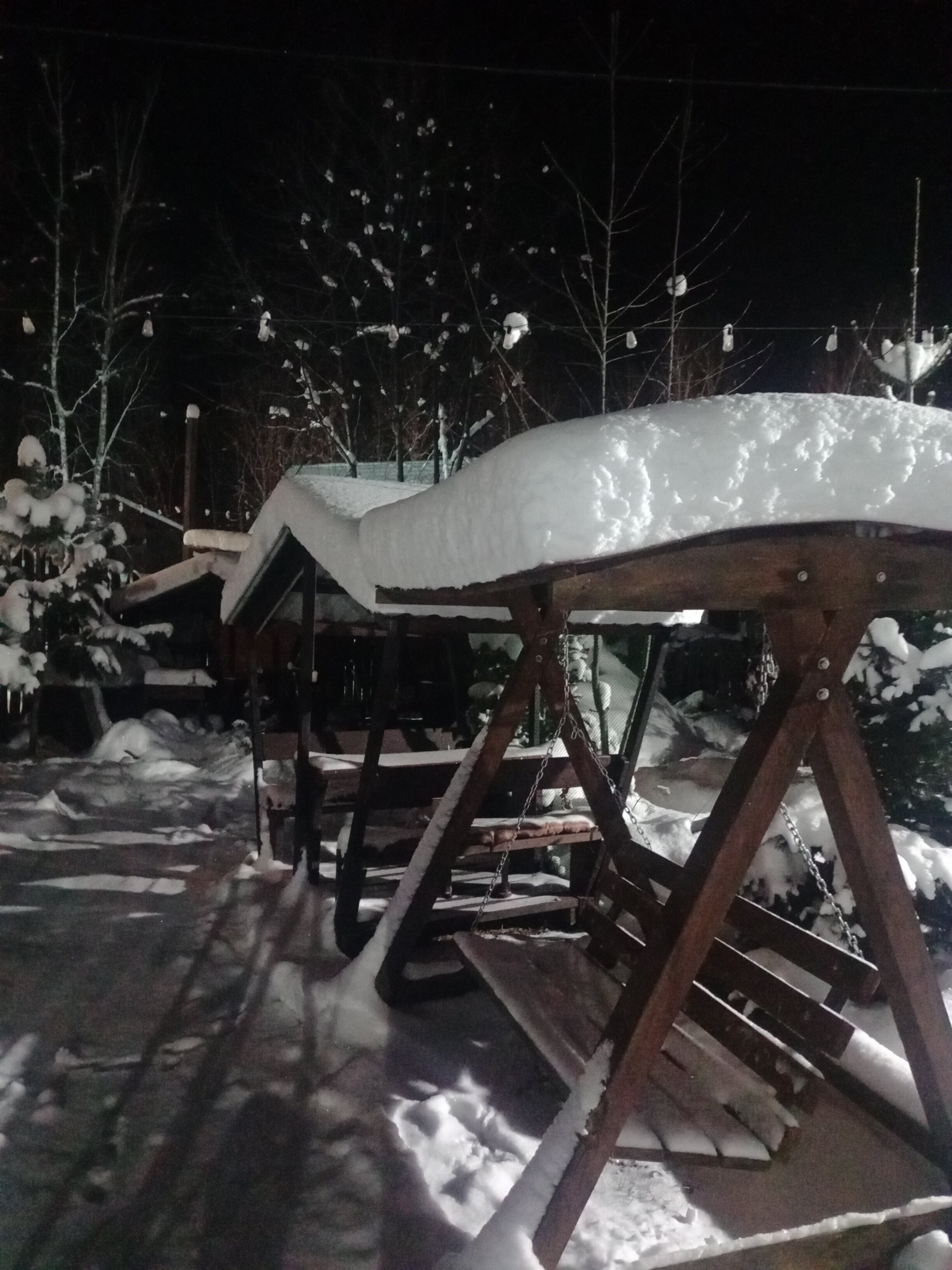 Фото Яшкин Дом