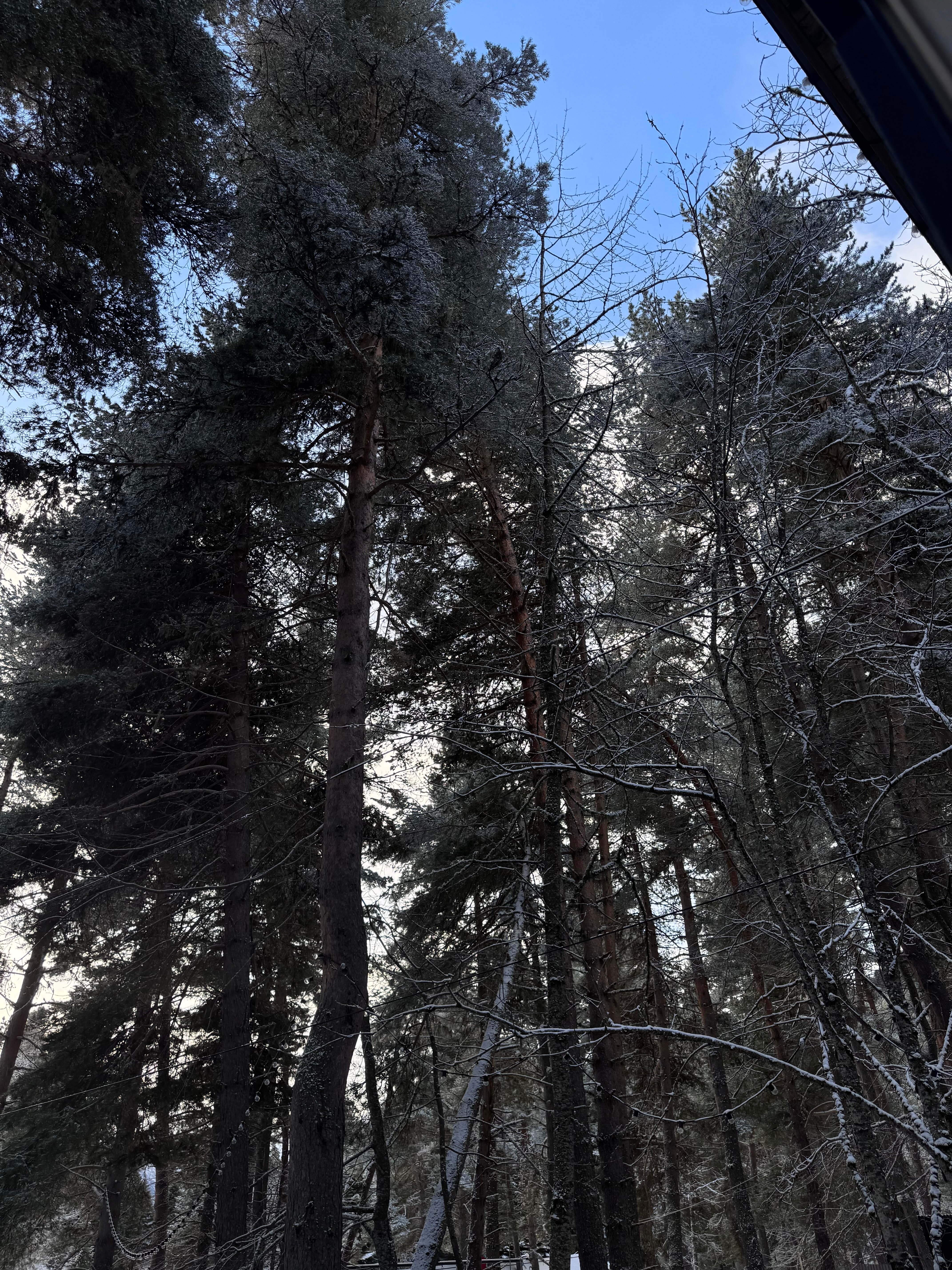 Фото Aspen House