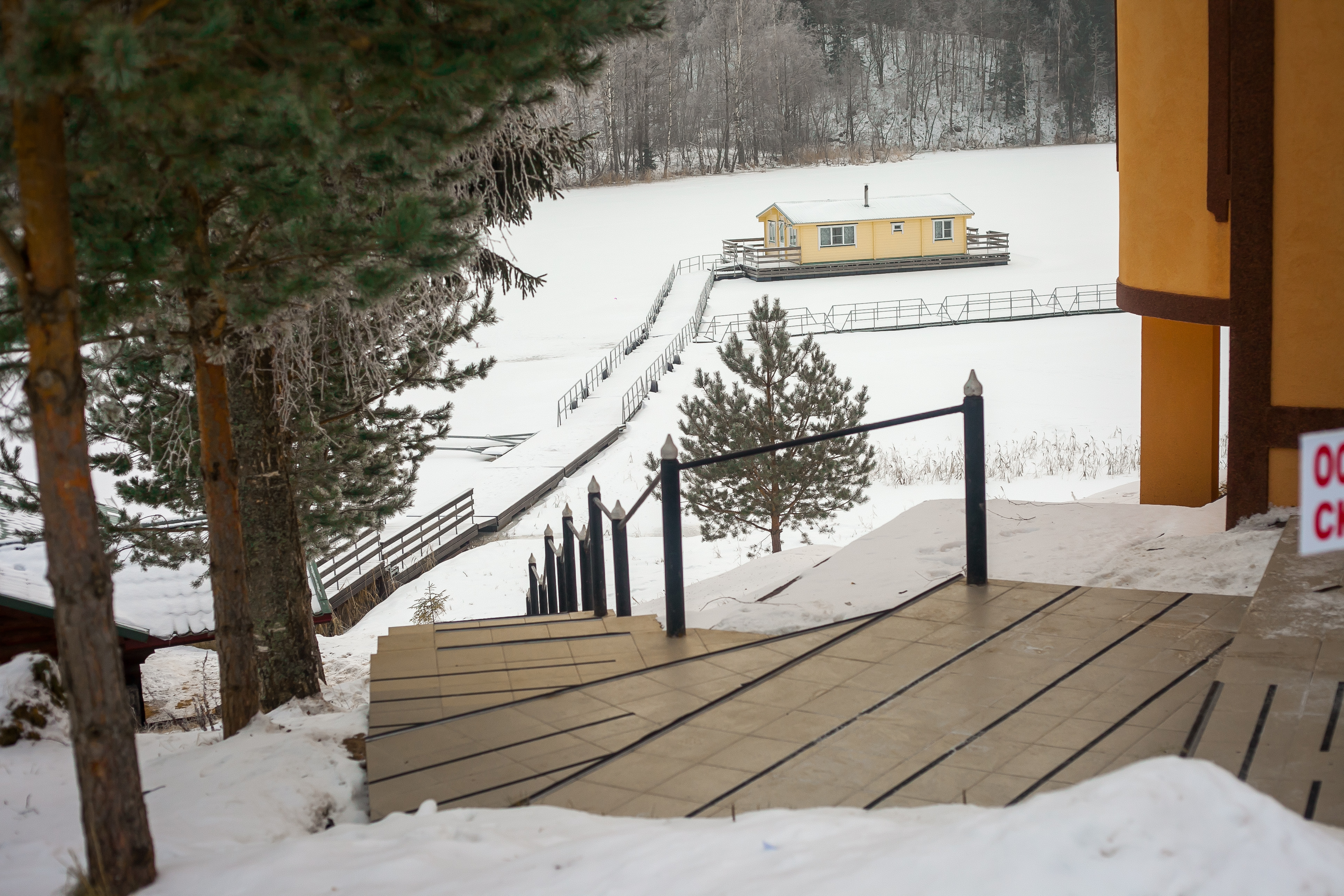 Фото Алёнушка