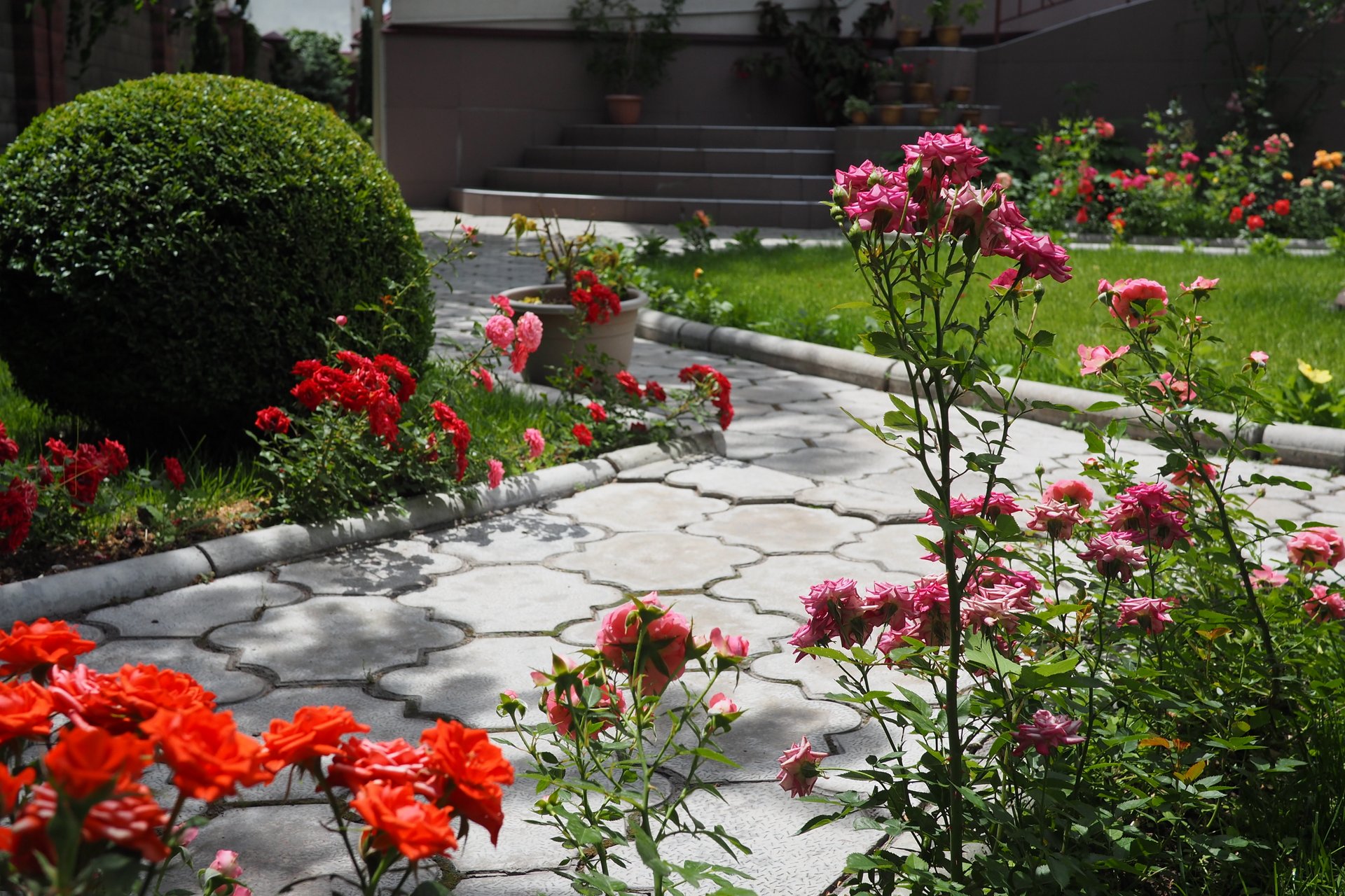 Фото Горы Азии