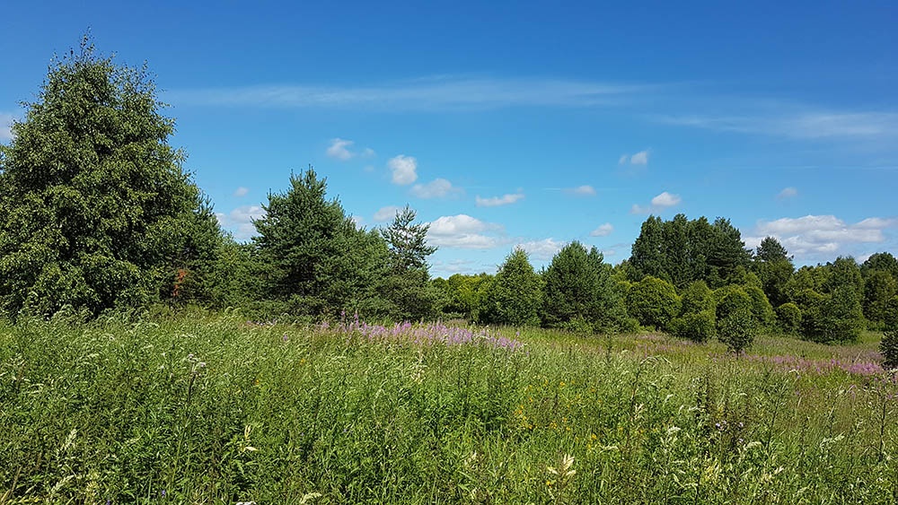 Фото Урочище Машуково