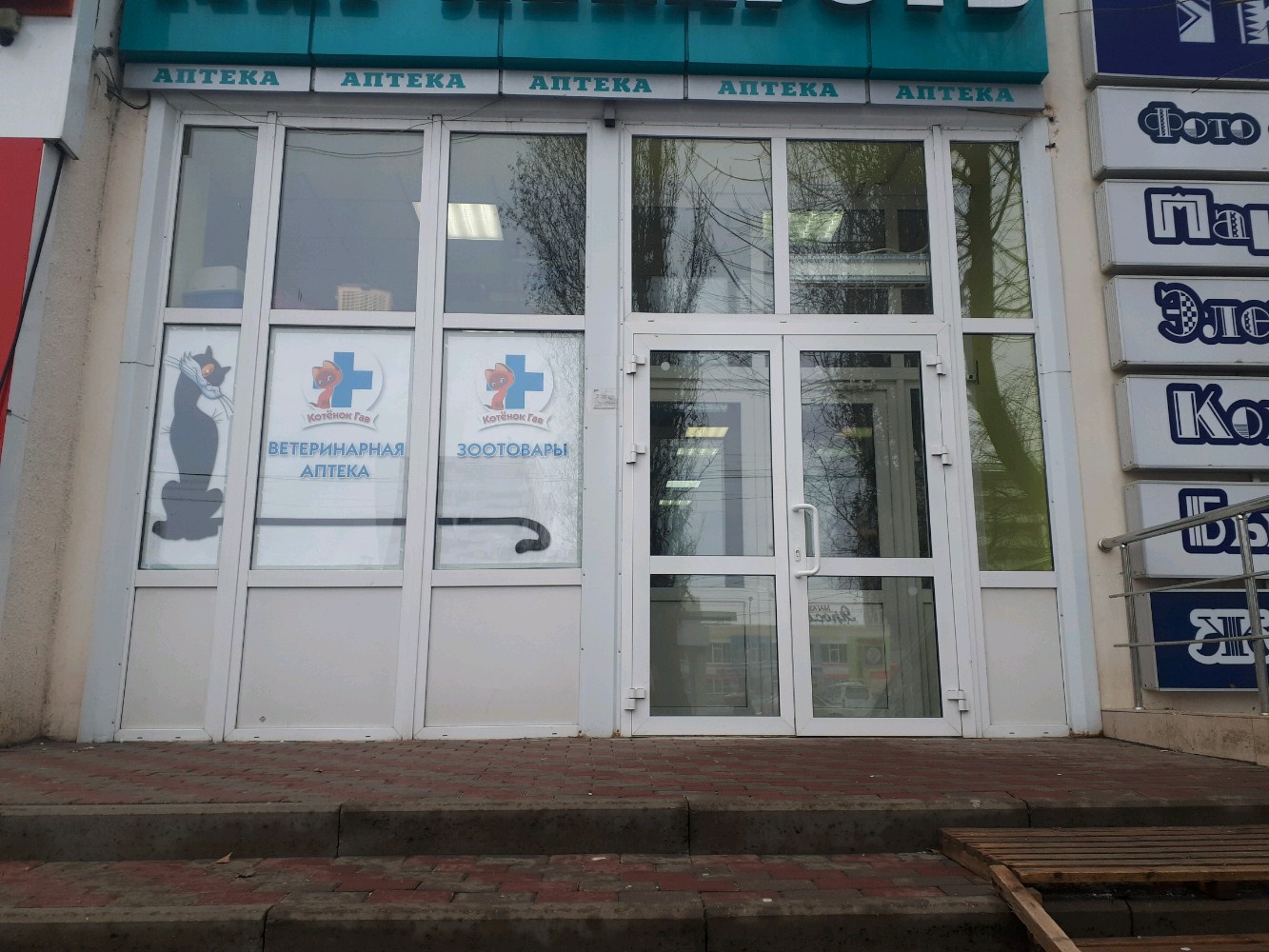 Photo: Котенок Гав, pet store, Russia, Belgorod, prospekt Bogdana Khmelnitskogo,