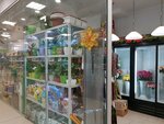 Zhivyye tsvety (Monastyrskaya Street, 93), flower shop