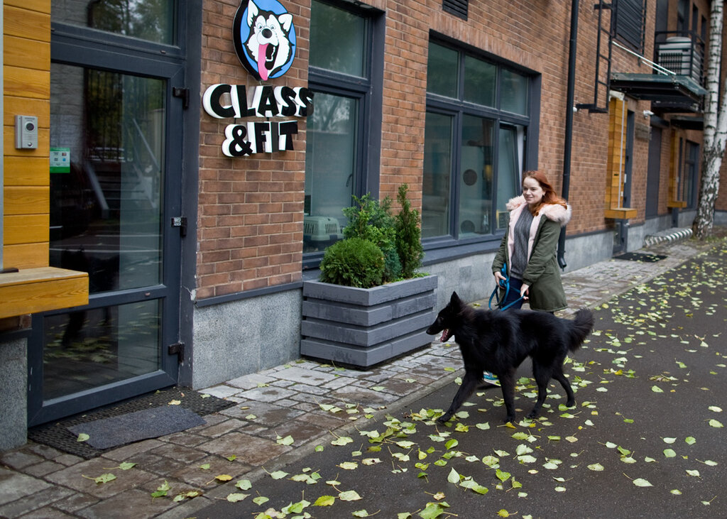 клуб любителей животных - Клуб для собак Class & Fit - Москва, фото № 7...