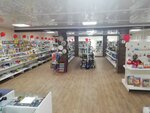 Electronik (Republic of Bashkortostan, Chekmagushevskiy selsovet, Chekmagush Village, Mira Street, 23Б), home goods store