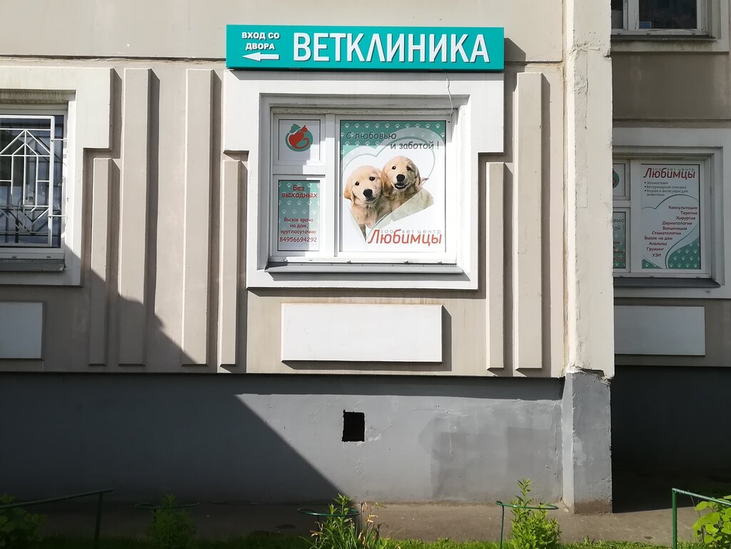 Veteriner klinikleri Veterinary clinic Lubimcy, Liubertsy, foto