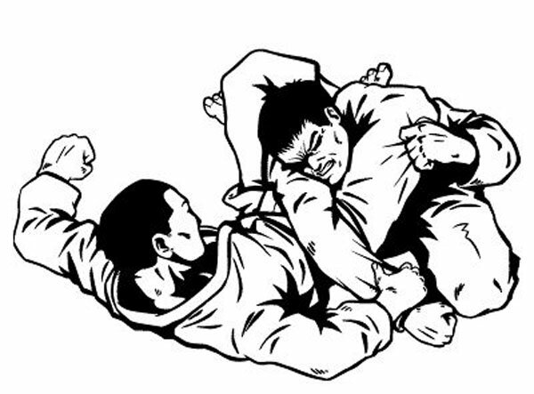 Федерация Джиу-Джитсу, спортивная секция