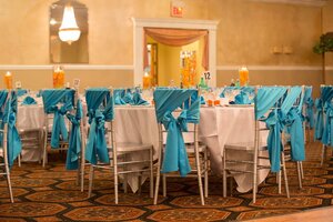 Lone Tree Manor Banquet Hall & Catering (United States, Niles, 7730 N Milwaukee Ave), entertainment center