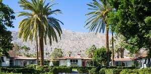 Гостиница Avalon Hotel & Bungalows Palm Springs в Палм-Спрингс