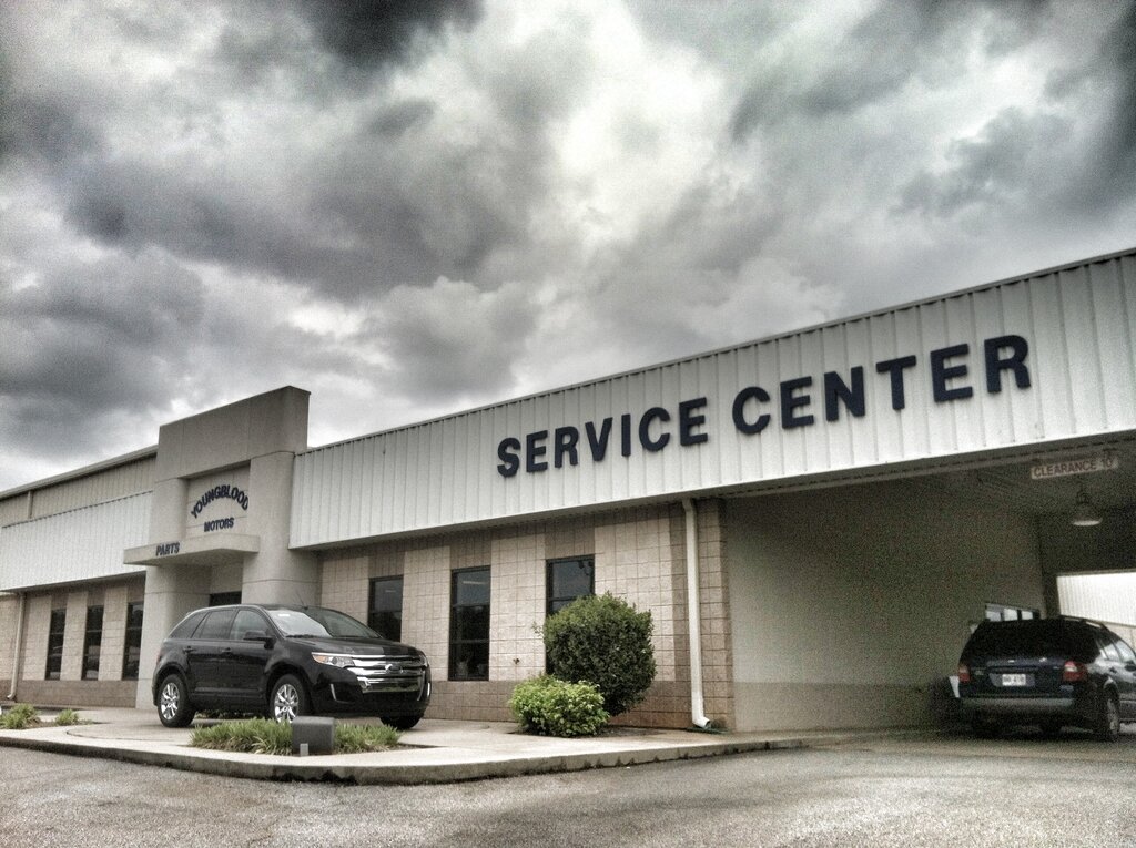 Engine repairs Youngblood Motor Co, State of Georgia, photo