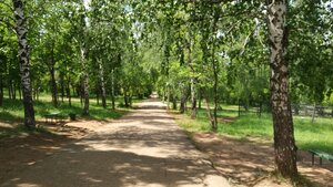 Городской парк (Kirov Region, Vyatskiye Polyany, Gorodskoy park), park