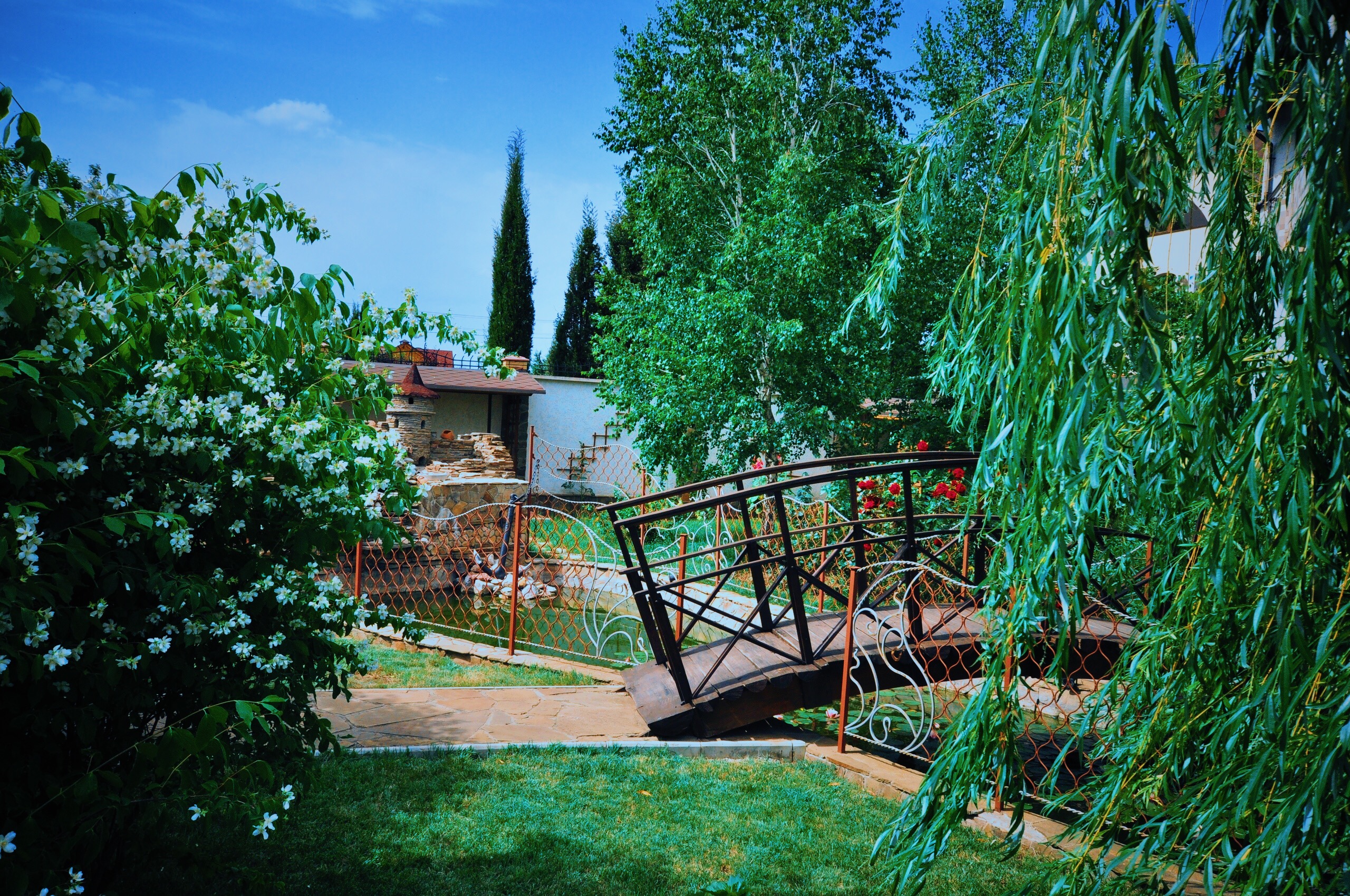 Фото Лига-Клуб