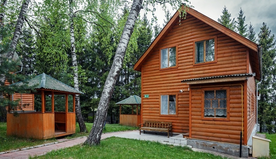 Фото Берёзовая роща