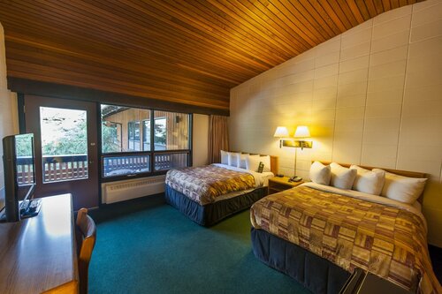 Гостиница The Dorothy Motel